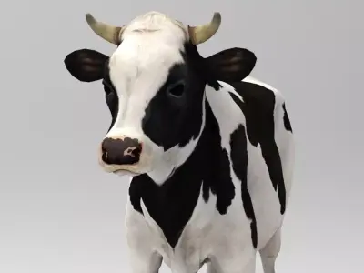 White Cow - Rigged - Animated Low-poly 3D model