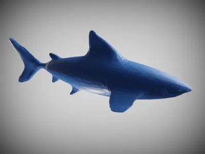 Geometric Shark Low-poly 3D model