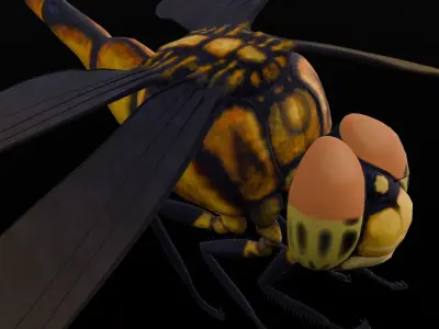 Dragonfly Animated 3D Model Low-poly 3D model