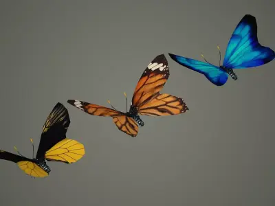 butterfly antenna wing insect fly wildlife summer sky  3D model