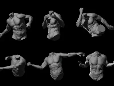 3D Printable Male Torso with Arms 3D model