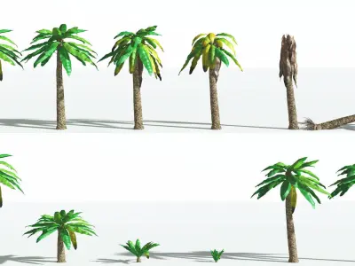 EVERYPlant Bjuvia Cycad 2 --12 Models-- 3D model