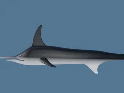 Sword Fish Low-poly 3D model