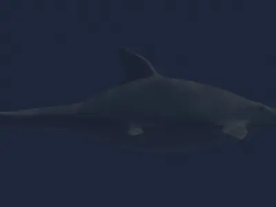 Ichtyosaurus shark Low-poly 3D model