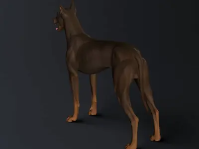 Doberman Model 3D model