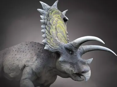 Pentaceratops V2 Low-poly 3D model