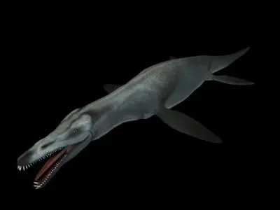 Pliosaurus Pack Low-poly 3D model