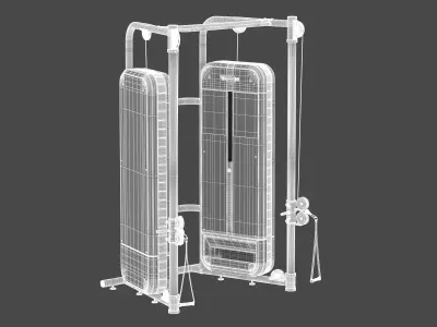 Technogym Dual Adjustable Pulley Fitness 3D model