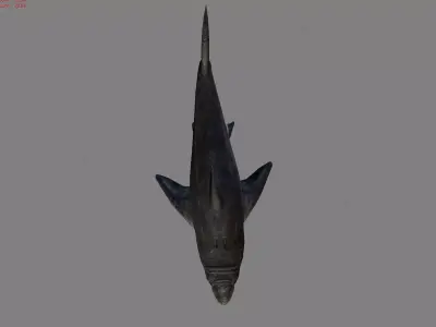 Shark Animal Low-poly 3D model