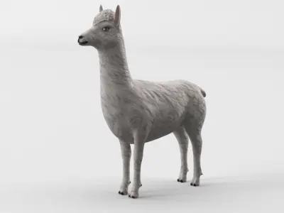 Low Poly Animal Cartoon Lama - Alpaca -  llama - Unwapped 4K Low-poly 3D model