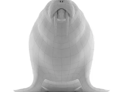 Walrus Base Mesh Low-poly 3D model