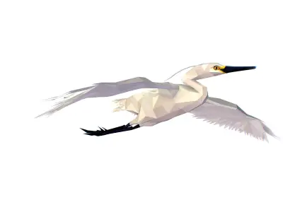 Animated Storck Low Poly Art Low-poly 3D model