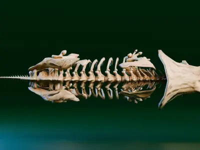 Realistic Ancient Reptilians Fossil - Triceratops Low-poly 3D model