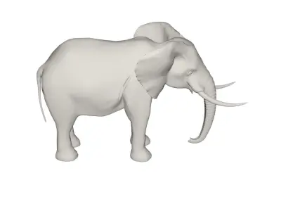 Elephant  3D model