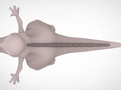 Hyp Hypsilophodon 3D model