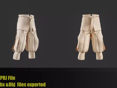 12Medieval warrior pants 3D model