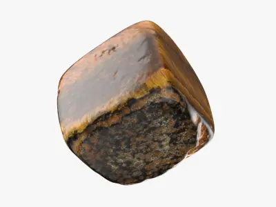 Tigers Eye 04 3D model