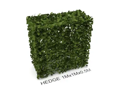 Hedge 1m x 1m 3D model