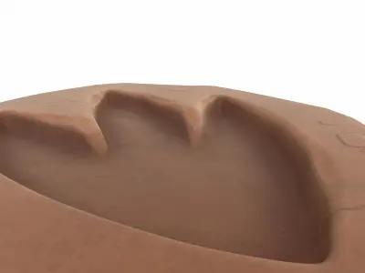 Dinosaur Footprint Fossil 3D model