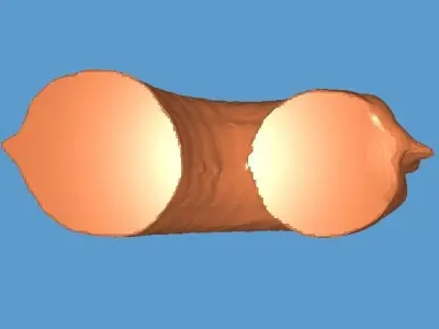 MakeIT 3 Piece Dragon Figure Head Body Tail 3D Model 3D model