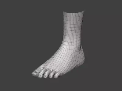 realistic female foot Low-poly 3D model