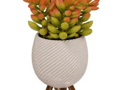 Decorative Set 011 3D model