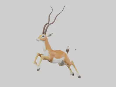 Springbok hopping model 3D model