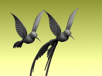 colibri humming bird 3D model