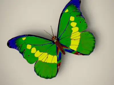 Butterfly Low-poly 3D model