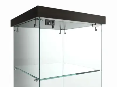 Store Frameless Glass Tower Showcase 3D model