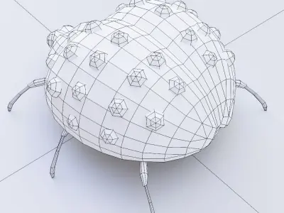 Ladybug low poly 3d model Low-poly 3D model