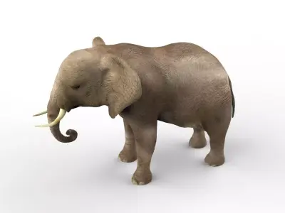 Elephant middle-poly 3D model