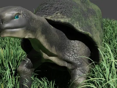 Galapagos Giant Turtle Low-poly 3D model