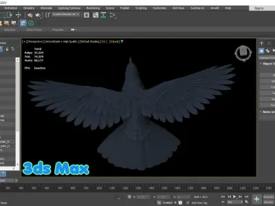 Realistic Animated Carrion Crow Low-poly 3D model