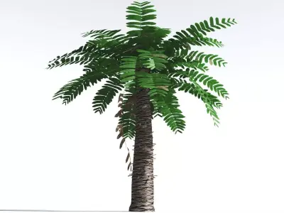 EVERYPlant Pseudoctnis Cycad LowPoly 1 --12 Models-- Low-poly 3D model