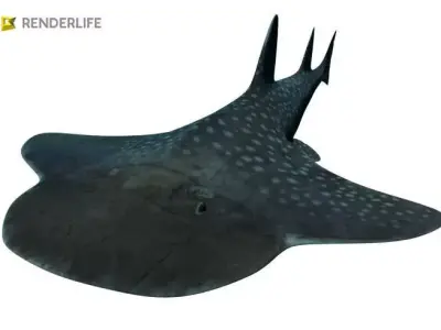Angel Shark with animation 3D model