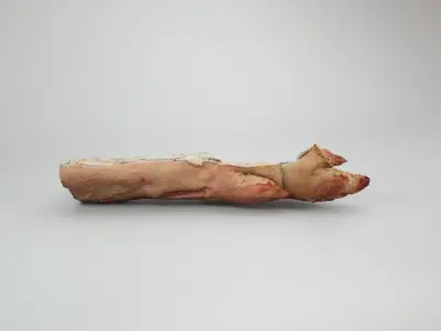 Raw Pig Foot Split on Half Low-poly 3D model