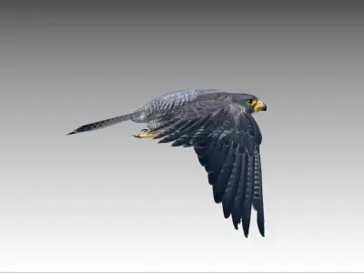 Falcon in flight Low-poly 3D model