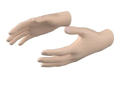 Female Hand Base Mesh 03 3D model