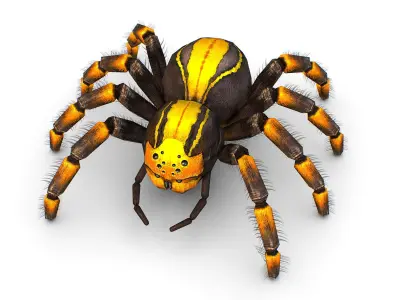 LowPoly Gigant Tarantula Spider Low-poly 3D model