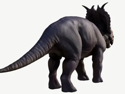 Pachyrhinosaurus triceratops Low-poly 3D model