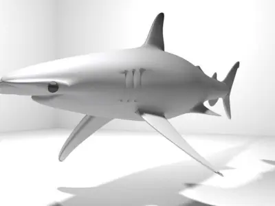 Shark - Bonnethead 3D model