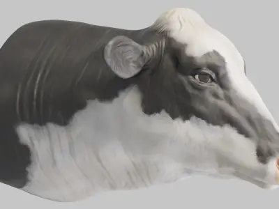 PBR Free Cow Head Free 3D model