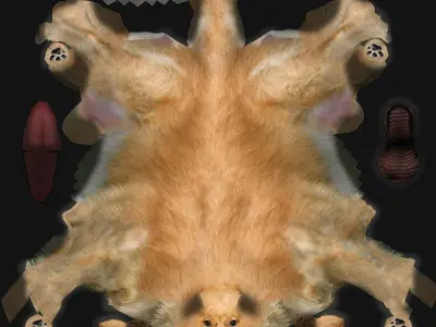 Textured dog Free 3D model