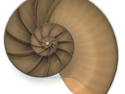 Marc Fish Nautilus II Low Coffee Table 3D model