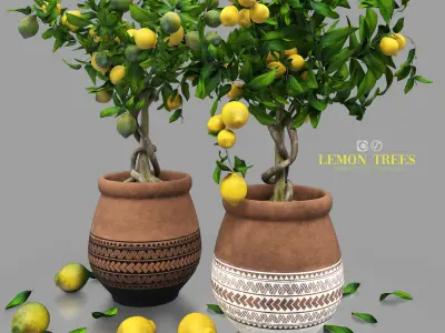 lemon trees 3D model