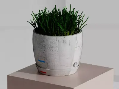 Flowerpot with valve Free 3D model