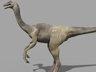 Gallimimus 8192 HD - 3d animated model 3D model