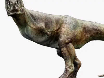 Dinosaur Carnotaurus dinosaur Low-poly 3D model