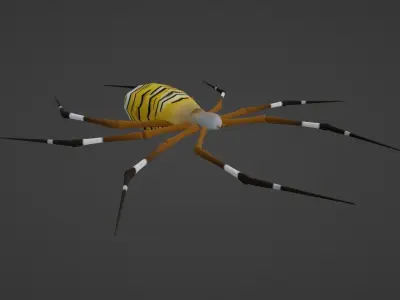 ANIMATED TIGER SPIDER Low-poly 3D model